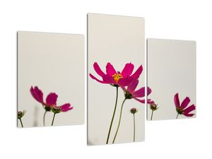 Tablou modern