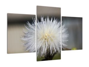 Tablou modern