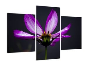 Tablou modern